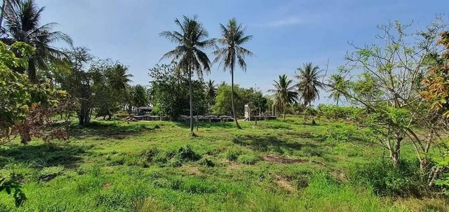 ที่ดิน ที่ดินติดทะเลบ่อนอก ประจวบคีรีขันธ์ ขนาดเท่ากับ 99 sq.wa 0 Ngan 7 Rai  86970000 B. ทรัพย์ดี ๆ