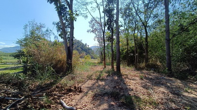Moon Dance Khao Yai Residence โครงการติดถนนธนะรัชต์ ตำบลหมูสี อำเภปปากช่อง จ.นครราชสีมา