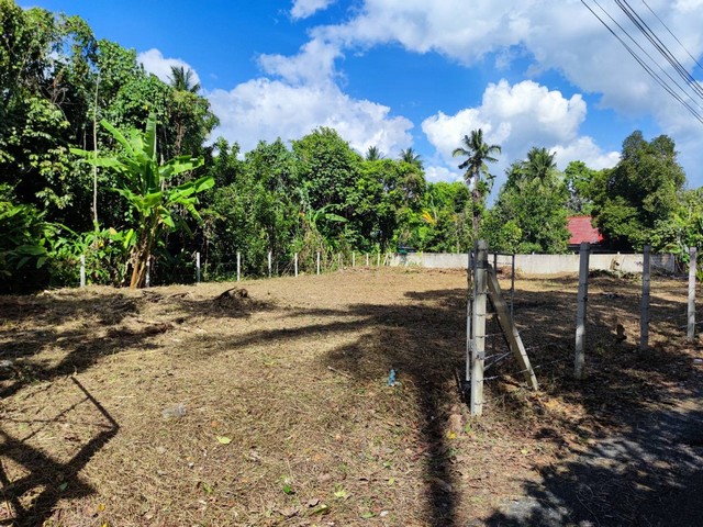 ขายที่ดินเปล่า เนื้อที่ 1-2-17.7 ไร่ ต.ปากแพรก อ. ทุ่งสง จ.นครศรีธรรมราช