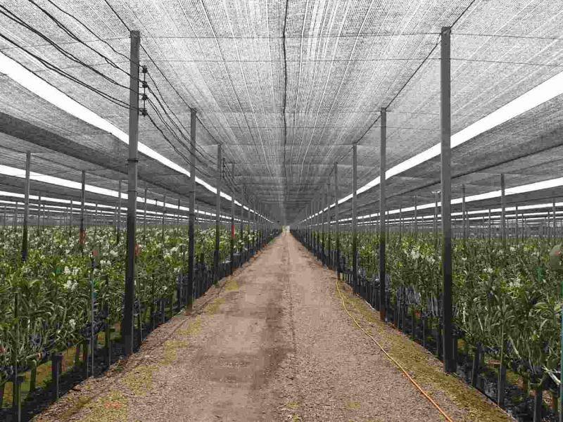 ขายที่ดินทำเลทอง พร้อมกิจการสวนกล้วยไม้ 43ไร่  (ย่านนครปฐม)ที่ตั้ง :  บ้านเลขที่119 ห้วยปลากด ตำบลทุ่งลูกนก อำเภอกำแพงแสน จังหวัดนครปฐม 73140พิกัด  https://maps.app.goo.gl/VvsNCU5yzxQ6DjWo7 ขนาดพื้นที่ : 43 ไร่รายละเอียด : ขายที่ดินพร้อมกิจการ สวนกล้วยไม้ 43ไร่  อ.กำแพงแสน จ.นครปฐม (เจ้าของขายเอง)-บ้านพักเจ้าของ-2ห้องนอน -2ห้องน้ำ-บ้านพักคนงานสถานที่ใกล้เคียง - ม.เกษตร กำแพงแสน-วัดไร่แตงทอง-วัดป่าปฐ