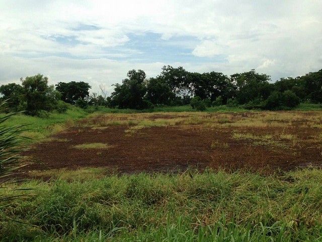 ขายที่ดิน ใกล้ซอยร่มเกล้า 7 ติดถนนร่มเกล้า ขนาดพื้นที่ 58 ไร่ 225 ตารางวา