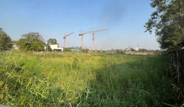 ขายที่ดินเปล่าถมแล้ว แปลงสวย ซอย รามอินทรา 19 ถนน รามอินทรา แขวงท่าแร้ง เขตบางเขน,กรุงเทพมหานคร