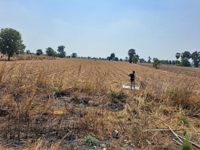 ขายที่ดินเปล่า 20 ไร่ 1 งาน ริมถนนวงแหวนรอบเมือง 290 ต.โป่งแดง อ.ขามทะเลสอ จ.นครราชสีมา