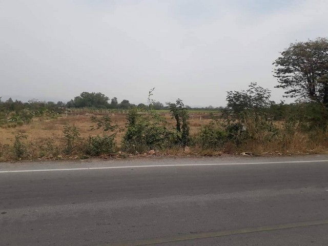 ขายที่ดินติดถนนลาดยาง 2 ไร่ สด/ผ่อนได้ วังเพลิง โคกสำโรง ลพบุรี ไร่ละ 270,000โฉนดครุฑแดง ติดถนนลาดยาง ทางหลวงท้องถิ่น(สายบ้านวังเพลิง - บ้านสะแกราบ ลบ -3008)ห่างถนนสุรนารายณ์ (205) 1 กมแยกวังเพลิง 2 กมวิทยาลัยเทคนิคโคกสำโรง 2 กมเจ้าของขายเอง สด/ผ่อนได้ พร้อมโอนสด 270,000 ต่อไร่ผ่อน 8,000 x 72 เดือน หรือตามตกลง สามารถใช้พื้นที่ได้ตั้งแต่งวดแรกสนใจติดต่อ โทร/ไลน์ 0945163747พิกัดที่ดิน15°0513.4  N 1