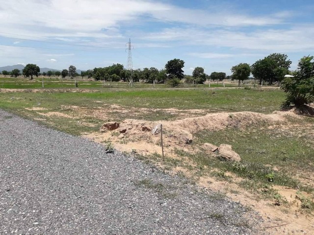 ขายที่ดิน 1 ไร่ สด/ผ่อนได้ ต.เพนียด อ.โคกสำโรง จ.ลพบุรี โฉนดครุฑแดง