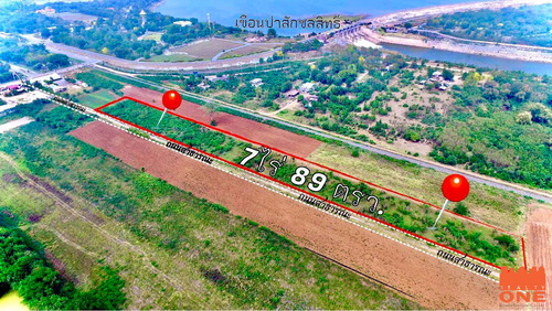 M25493ขายที่ดินเปล่า ใกล้ชิดติดเขื่อนป่าศักดิ์ชลสิทธิ์ 1 นาทีเนื้อที่ดิน 7 ไร่ – งาน 89 ตร.วา ต.หนองบัว อ.พัฒนานิคม จ.ลพบุรีเอกสารสิทธิ์ โฉนดครุฑแดง หน้ากว้างติดถนน 40 เมตร ลึก 345เมตรที่ดินถมแล้ว ติดเขื่อนป่าศักดิ์ชลสิทธิ์ เพียง 100 เมตร จากถนนหลัก 3017ใกล้ชิดเขื่อนป่าสัก หรือ ไปมวกเหล็ก เขาใหญ่ ปากช่องได้สะดวกมองเห็นวิวเขื่อน เป็นพื้นที่สูง เหมาะกับ ที่พักอาศัย รีสอร์