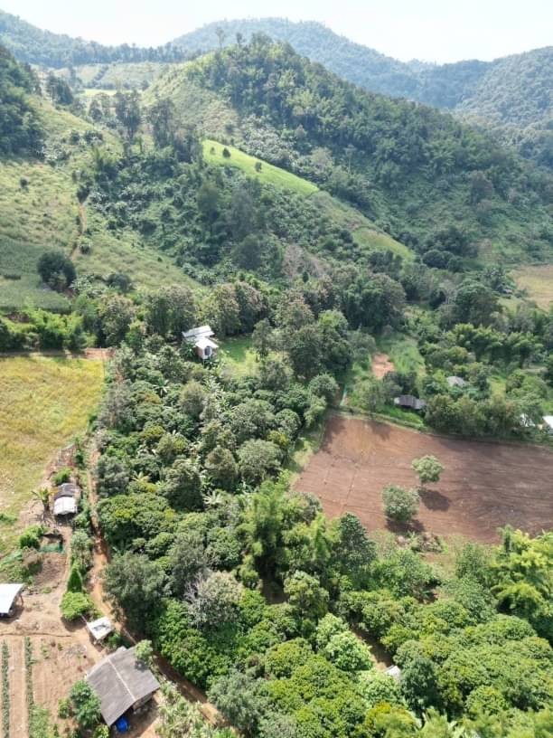 ขายด่วน 4.5​ ล.เท่านั้น​2-1-54 ตรว.​ โซนสะเมิง​ สะเมิงเหนือ ที่ดินวิวสวยอากาศดี​ เอกสารโฉนดนส4จ.​ ติดถนนสาธารณะ