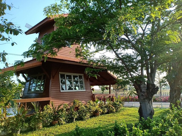 ขายด่วน ที่ดินพร้อมบ้านเรือนไทย ตำบลหนองมะค่าโมง อำเภอด่านช้าง จังหวัดสุพรรณบุรี