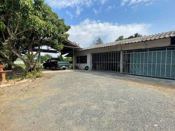 ติดถนน ค้าขายได้ ขายที่ดิน 2.9 ล้าน เนื้อที่ 186 ตรว. สันทรายหลวง สันทราย พร้อมโกดัง และที่จอดรถ ติดถนนสาถารณะ สามารถค้าขายได้