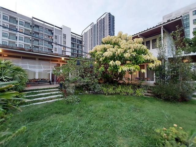 EPL-HR3139 ให้เช่าบ้านเดี่ยว 2 ชั้น ขนาด 1 ไร่ ซอยสุขุมวิท 115 ปากซอยเป็น BTS สถานีปู่เจ้าฯ พื้นที่ใช้สอย 300 ตรม 5 ห้องนอน 3 ห้องน้ำ 