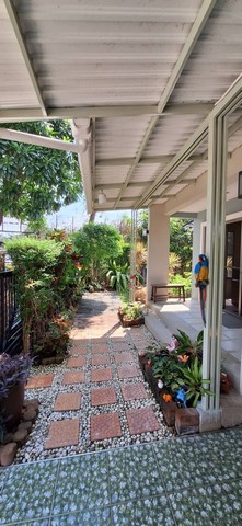 [B870]ให้เช่า 55k บ้านเดี่ยว หลังมุม  เดอะ แพลนท์ เอสทีค พัฒนาการ 38 เขตสวนหลวง ใกล้ทองหล่อ เอกมัย ใกล้ทางด่วน ใกล้รถไฟฟ้า