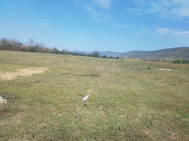 ขายที่ดินติดภูเขา ภูเวียง ที่ดินวิวเขาสวยงามมากธรรมชาติสุดสุด อากาศดีปลอดโปร่งร่มเย็นสบาย มีบ่อน้ำสาธารณะใช้ประโยชน์อุปโภคได้ ที่ดินตั้งอยู่ที่  หมู่ที่ 14 ต.นาจาน อ.สีชมพู จ.ขอนแก่น เนื้อที่รวม 124-2-73 ไร่ มี 6 โฉนด เช่า 1200 บาท/ไร่/ปี  แบ่งขายเป็นไร่ๆ ราคาไร่ละ 300,000 บาท   แบ่งขายเพียง 2 โฉนดเท่านั้น ค่าใช้จ่ายวันโอนทั้งหมดคนละครึ่ง ,ฉ.13243 เนื้อที่ 21-2-27 ไร่ฉ.13244 เนื้อที่ 23-2-52 