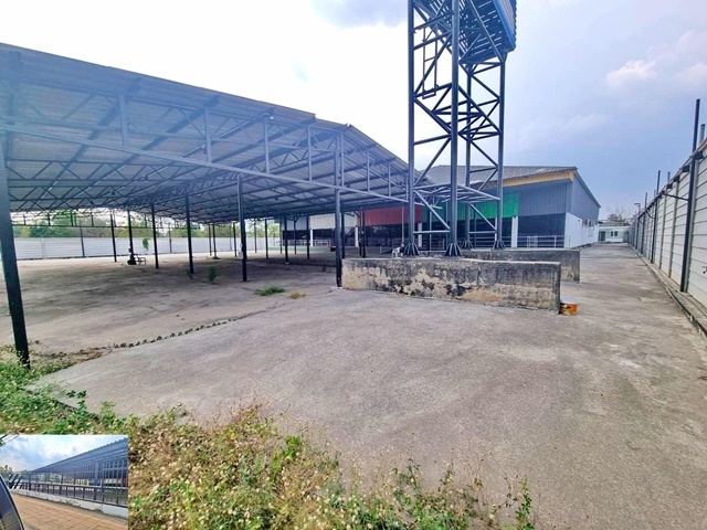 นิมิตรใหม่ ใหญ่มาก 149,999B-M รพ.คลองสามวา โชว์รูม ลำลูกกา คลอง 5 ติดถนนใหญ่ หทัยราษฏร์  ให้เช่า โกดัง 2 ไร่ 3195ตรม. ไฟฟ้า 3 เฟส 100แอมป์ บึงคำพร้อย จอดรถได้หลายคัน ตลาดมารวย  Maruay Market Showroom on the main road warehouse BuengKhamProi for rent 2rai 3195sqm. 3phase electricity 100amp Nimitmai very large 149,999B-M parking for many cars KhlongSamWa Hospital. LamLukKa Khlong5ตลาดมารวย บึงคำพร้อยหทัยราษฏร์  นิมิตใหม่ แขวงสามวาตะวันออก เขตคลองสามวา กรุงเทพมหานคร 105102 ไร่          2 rai- พื้นที่ใหญ่ กว้างมาก- ไฟฟ้า 3