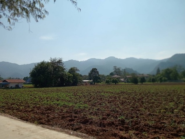 ขายที่ดิน ตั้งอยู่ใกล้เขาใหญ่ ปากช่อง 6 ไร่ ปลูกมันสำปะหลัง โคราช เหมาะสำหรับทำเกษตรกรรม สร้างบ้านพักตากอากาศ ลงทุน