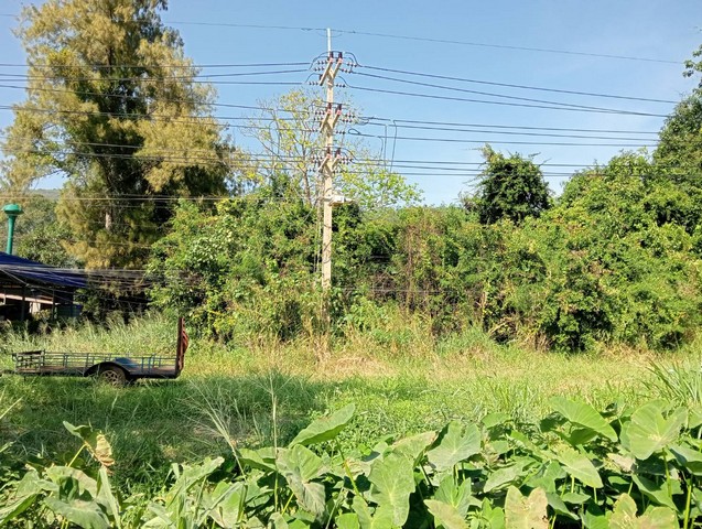 ขายที่ดินเปล่า แปลงใหญ่ 95 ไร่ ติดถนนธนะรัตน์ ปากช่อง นครราชสีมา วิวภูเขา เหมาะสำหรับทำโรงแรม รีสอร์ท หรือ โครงการหมู่บ้าน