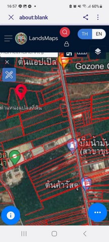 ขายด่วนที่ดินพร้อมสวนยาง 7-0-10 ไร่  ใกล้ถนนหลัก 4009    ขุนทะเล สุราษฎร์ธานี   ZB048