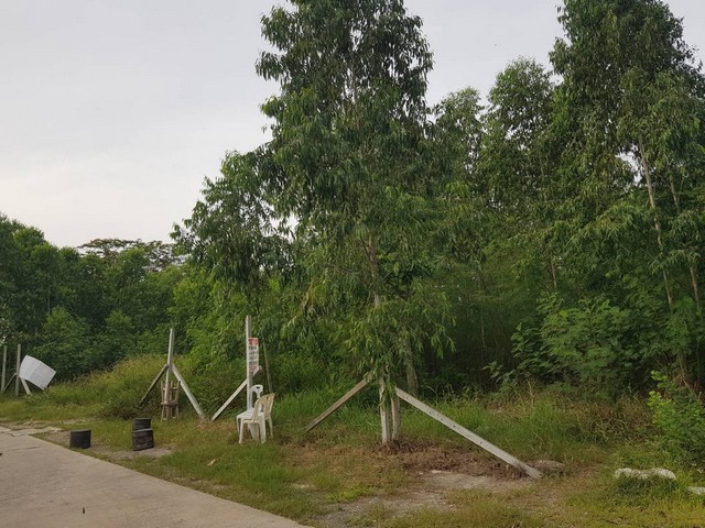 ZTK050ขายที่ดินสวย 2 ไร่ ซอย ม.บางนาการ์เด้นท์ 10  บางเสาธง ใกล้ ABAC 7.5 ล้านบาท/ไร่ (ขายยกแปลง) ติดถนน ที่ดินพร้อมต้นยูคาลิปตัส สถานที่ใกล้เคียง- ABAC 2 เอแบคบางนา- สำนักงานที่ดิน จ.สมุทรปราการ- Green View Hotel- สถานีตำรวจ บางเสาธงราคา 15 ล้านบาท(red flag)พิกัดทรัพย์https://goo.gl/maps/HBo7QRjQZvdzMG1M8ติดต่อ085 909 2921 (กุ้ง)084 120 4983 (หญิง)———————————————-#อสังหาเพื่อการลงทุน #ขายที่ดินถนนบางนา#ที่ดินบางนา#ขายที่ดินสมุทรปราก