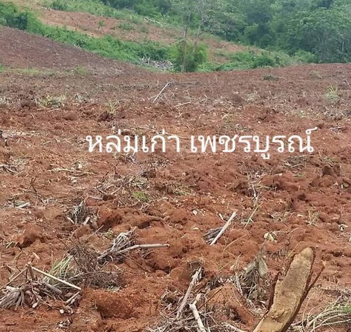 ขายที่สวยบนเขา แบ่งโฉนดขาย ไร่ละ 180000-250000 บาท   เช่า 700 บาท/ไร่/ปี  ต.หล่มเก่า อ.หล่มเก่า จ.เพชรบูรณ์ วิวเขา ใกล้ภูทับเบิก ที่ดินบนเนินเขาวิวสวยทิวทัศน์ดี บรรยากาศสดชื่น บริสุทธิ์ อากาศดี้ดีฟินสุดสุดค่าใช้จ่ายวันโอนทั้งหมดครึ่งครึ่งซื้อผ่อนเจ้าของได้ วางดาวน์ 30% ผ่อนต่อ 5ปีที่ดินสวย ที่ดินบนเขา บรรยากาศสดชื่น แสนสบายสดใส ใกล้แหล่งน้ำ ธรรมชาติรายล้อมทำเลดี วิวส