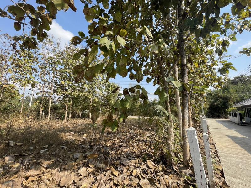 ขายที่ดินเขตติดต่อน้ำแพร่ สันป่าตอง จ.เชียงใหม่ เนื้อที่ 1 ไร่ ราคา 2.7 ล้านบาท.สถานที่ใกล้เคียง- โรงเรียนบ้านห้วยส้ม 3.5 กม.- ถนนเลี่ยงเมือง สันป่าตอง หางดง 450 เมตร- บิ๊กซี หางดง 2 (เชียงใหม่-ฮอด) 8.3 กม.- สนามบินเชียงใหม่ 20.2 กม..สนใจ บ้าน คอนโด ที่ดิน เพิ่มเติมhttps://www.facebook.com/SkyproExecutive ติดต่อ เพชร 082-636-9782  Line ID : @skyproxเพิ่มเพื่อนอัตโนมัติ https://lin.ee/xrFwhA9 .#ที่ดินเชียงใหม่ #ที่ดินทำเลดีเชียงใหม่ #ที่ดิน