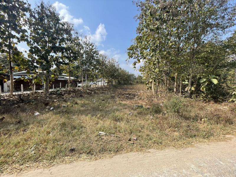 ขายที่ดินเขตติดต่อน้ำแพร่ สันป่าตอง จ.เชียงใหม่ เนื้อที่ 1 ไร่ เพียง 2.7 ล้านบาท