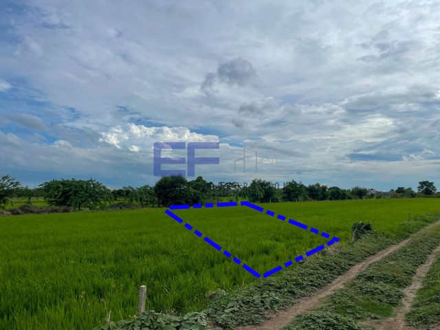 ขายที่ดิน 89 ตารางวา เรียบคลองบางขุนศรี บางบัวทอง ไทรน้อย