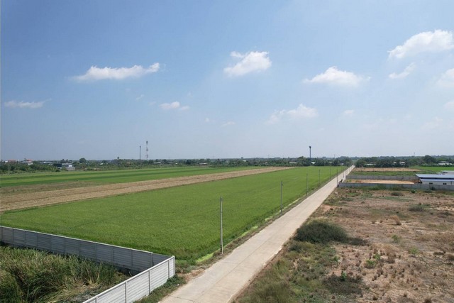 หาที่ดินสร้างโกดังหรือคลังสินค้า คลอง7ใกล้ อบต.ธัญญะ ติดถนนคอนกรีต ถนนหลักธัญญะ-วังน้อย