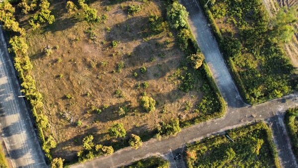 ที่ดินจัดสรรในโครงการ ศรีสันกำแพงการ์เด้นโฮม กับพื้นที่ 108 ตร.ว ที่ถูกดูแลเป็นอย่างดี ที่ดินจัดสรรเพื่อการปลูกบ้านที่พักอาศัย