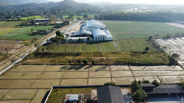 ที่ดินผืนสวย เส้นสันกำแพงสายใหม่ เดินทางสะดวก พื้นที่ถมสูงติดถนน และ คลองชลประทาน