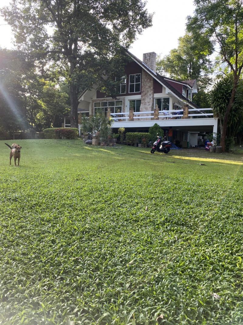 ขายที่ดินบ้านที่ดินโฉนดครุฑแดงไม่ทับพื้นที่ป่า100% ย่านเขาใหญ่2ไร่ ใกล้วัดเหวปลากั้ง