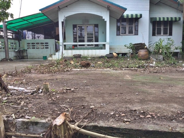 ขายบ้านเดี่ยว  เมืองปทุมธานี  ปทุมธานี (PAP-1-0164)