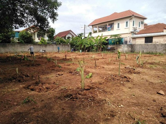 ขายที่ดิน 198ตรว. 4.36ลบ. ทำเลธุรกิจ เขตเทศบาลเมือง ต.ป่าแดด อ.เมือง เชียงใหม่ขายด่วน ที่ดินเนื้อที่ 198 ตรว.ๆ ละ 22,000 บาท อยู่ในเขตเทศบาลเมืองเชียงใหม่ทำเลเหมาะสำหรับที่พักอาศัย หรือธุรกิจหอพัก  การเดินทางสะดวกสบายอยู่ในแหล่งชุมชนและแหล่งอำนวยความสะดวก ใกล้โลตัสหางดง บิ๊กซี เซนทรัลแอร์พอร์ต สนามบินเชียงใหม่พิกัด : ต.ป่าแดด อ.เมือง จ.เชียงใหม่ราคา 4.36 ลบ. (4,360,000 บาท)เฉพา