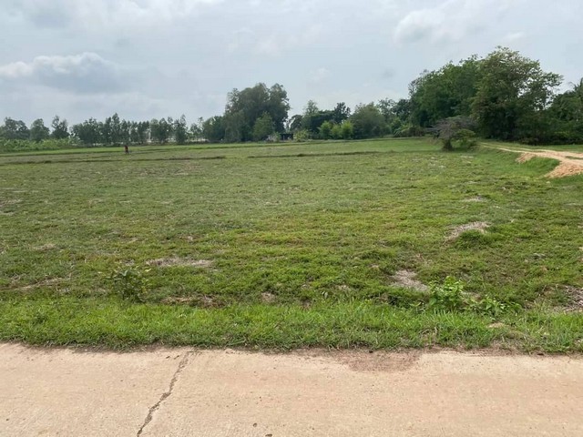 ขายที่ดินขนาด 4 ไร่ 1 งาน อำเภอเมืองจังหวัดสุรินทร์  ทำเลสวยมากๆ