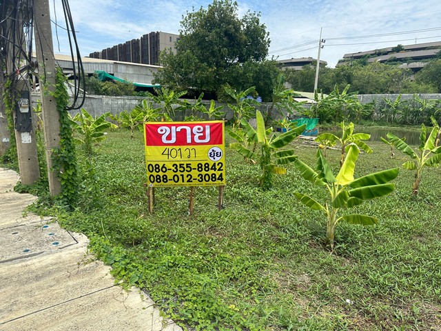 ZT353 ขายที่ดิน‭ ‬ซอยคลองหลวง 21 เนื้อที่ 401 ตารางวากว้าง 40x40 เมตร ที่ตั้ง : ซอยคลองหลวง 21 ตำบลคลองหนึ่งอำเภอคลองหลวง จังหวัดปทุมธานีสถานที่ใกล้เคียง : - ม.กรุงเทพ, ม.ธรรมศาสตร์รังสิต– สนามกอล์ฟไพน์เฮิร์สท, บุญถาวร– ตลาดรังสิต, ตลาดไอยรา– รพ.เปาโลรังสิต, รพ.ธรรมศาสตร์รังสิตการเดินทาง– ตั้งบนถ.พหลโยธิน– เชื่อมต่อถ.คลองหลวง– ใกล้ทางพิเศษอุดรรัถยา– ใกล้วงแหวนกาญจนาภิเษ
