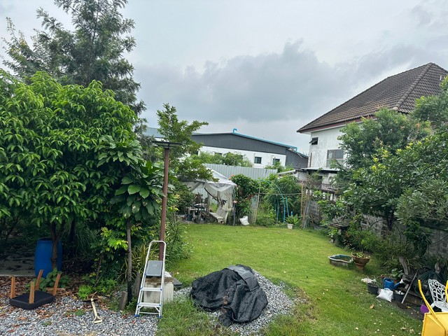 ขายที่ดิน‭ ‬110 ตารางวา  ซอยสายไหม 38  ทำเลดี มีรั้วรอบขอบชิด ZT351