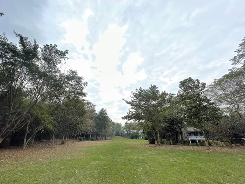 รหัสทรัพย์ M24912-1️แบ่งขายค่ะ‼️โลเคชั่น ตำบลชะอม อำเภอแก่งคอยจังหวัดสระบุรี ฝั่งที่ติดกับนครนายกที่ดินทั้งหมดมีสองฝั่ง– ฝั่งที่ปลูกบ้าน พื้นที่ขนาด 13 ไร่ ติดลำธาร 200 กว่าเมตร วิวภูเขา ขาย 48.5 ล้านบาท– ฝั่งสวน ขนาด 60 ไร่ ขายไร่ละ 850,000 บาทสิ่งปลูกสร้างมี :1. บ้านหลังใหญ่ 3 ห้องนอน 4 ห้องน้ำ ปูพื้นไม้มะค่าหน้ากว้างมาก2. มีเรือนเล็กแยกออกมาอีก 1 เรือน ซึ่งมี 1 ห้องนอนและห้อ