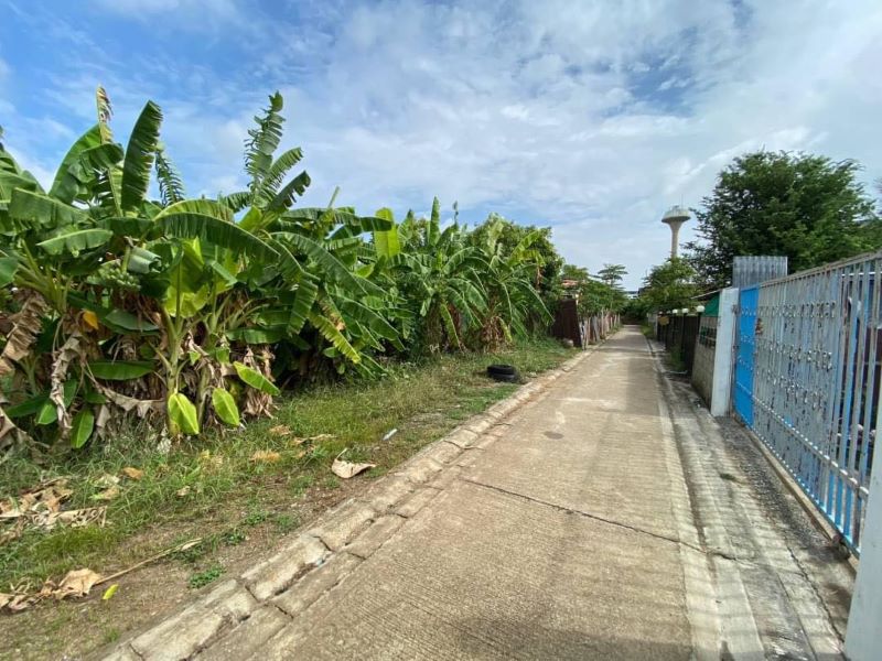 ขายที่ดิน (ปลูกกล้วย) สวยเหมาะแก่การปลูกบ้าน หรือทำสวยในเมือง