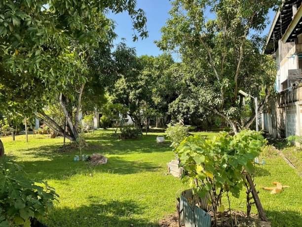 ขายที่ดินในเมืองเชียงใหม่ 6.9 ล้าน เนื้อที่ 174 ตรว. ช้างเผือก อำเภอเมือง บนถนนโชตนา ใกล้ศาลากลางจังหวัดเชียงใหม่