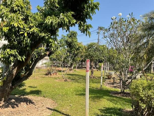 ขายที่ดินในเมืองเชียงใหม่ 6.9 ล้าน เนื้อที่ 174 ตรว. ช้างเผือก อำเภอเมือง บนถนนโชตนา ใกล้ศาลากลางจังหวัดเชียงใหม่