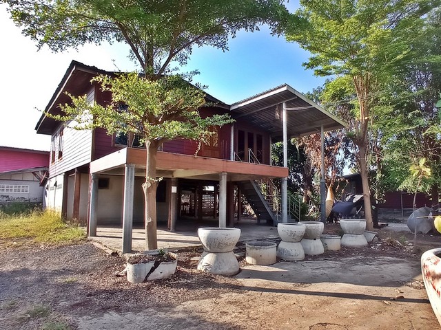  รายละเอียดเพิ่มเติม Code ID :  PAP4-0389   ราคาขาย 1,340,000  บาท- ขนาดพื้นที่ : 299 ตรว.  - พื้นที่ใช้สอย :  118 ตรม. - จำนวนห้อง :   3 ห้องนอน 2 ห้องน้ำ  - ที่จอดรถ :  2 คัน- บ้านหันทางทิศ :  ตะวันออก พิกัดทรัพย์ :  https://maps.app.goo.gl/7BxqsjmouDSeimF6A    สถานที่ใกล้เคียง- ใกล้  วัดปทุมชาติ- ใกล้  โรงพยาบาลจัตุรัส- ใกล้  โลตัส จัตุรัส- ใกล้  โรงเรียนศรีเทพบาลสอบถามเพิ่มเติม/นัดชมโทร. 097-419-5982(พลอย)โทร. 096-932-4624(ออมสิน)Line : @panaya (มี@ด้านหน้า)ปรึกษ�