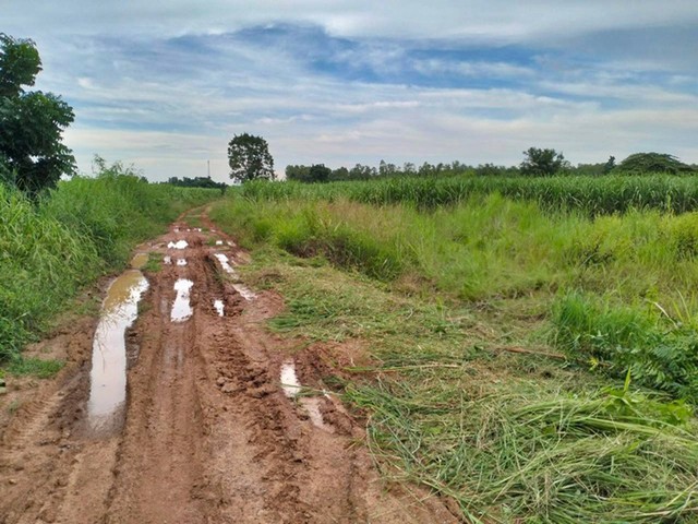 ขาย ที่ดิน ต.หนองขาม อ.แก้งคร้อ จ.ชัยภูมิ PAP5-0090 