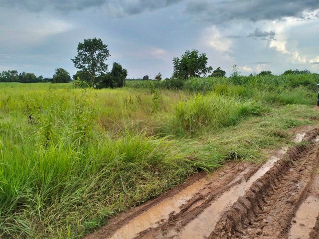 ขาย ที่ดิน ต.หนองขาม อ.แก้งคร้อ จ.ชัยภูมิ PAP5-0090