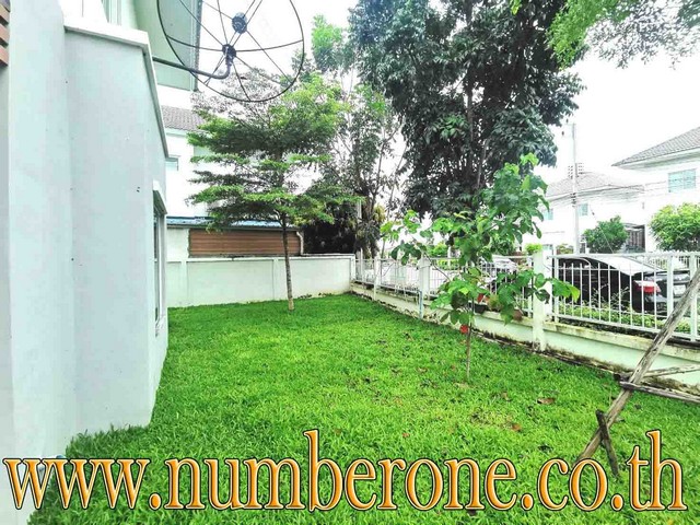 ขายขายขายด่วนมาก ม.แลนซีโอ คริป ศรีราชา-บ่อวิน สัตหีบ-พนมสารคาม ต.บ่อวิน อ.ศรีราชา จ.ชลบุรี