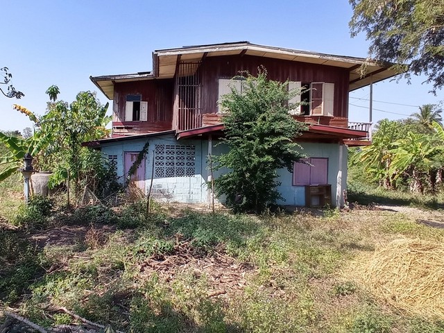   รายละเอียดเพิ่มเติม Code ID :  ราคาขาย 896,717  บาท- ขนาดพื้นที่ : 122.4 ตรว.  - พื้นที่ใช้สอย : 1011 ตรม.  - จำนวนห้อง :  2 ห้องนอน 2 ห้องน้ำ  - ที่จอดรถ :  1 คัน- บ้านหันทางทิศ :  เหนือ พิกัดทรัพย์ :  https://maps.app.goo.gl/zr3zyDDtW8KrfKEY8    สถานที่ใกล้เคียง- ใกล้  วัดศรีมหาโพธิ์ ชัยภูมิ- ใกล้  โรงพยาบาลบ้านเขว้า- ใกล้  ตลาดนัดบ้านเขว้า- ใกล้  โลตัส บ้านเขว้าสอบถามเพิ่มเติม/นัดชมโทร. 097-419-5982(พลอย)โทร. 096-932-4624(ออมสิน)Line : @panaya (มี@ด้านหน้