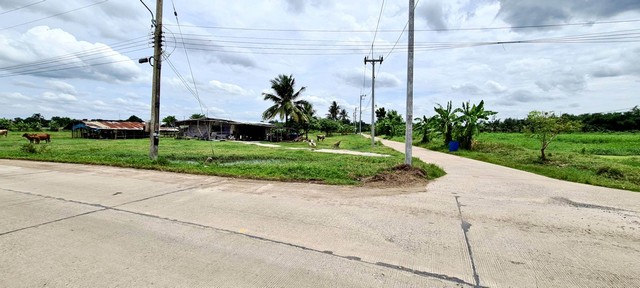 ขายขายขายด่วนมาก ที่ดิน 11-0-51.5 ไร่ ถ.331  จ.ชลบุรี