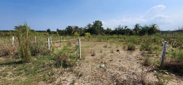 ขายที่ดิน ที่ดินอำเภอชะอำ ขนาดพื้นที่ 1 ไร่  มีเสาไฟเรียบร้อยแล้ว 