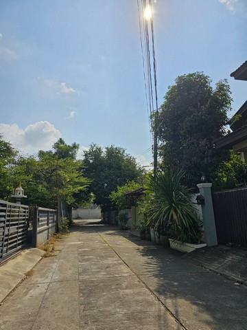 ขายที่ดิน ใกล้btsแบริ่ง ลาซาล 108 ตารางวา บรรยากาศดี เหมาะทำที่อยู่อาศัย ด่วน