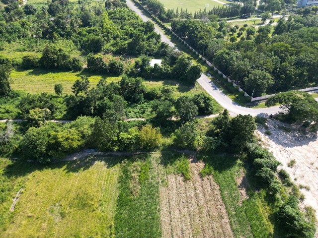 ที่ดิน 104 ตารางวา ติดโรงเรียนวิทยาศาสตร์จุฬาภรณราชวิทยาลัย เพชรบุรี   ZW335