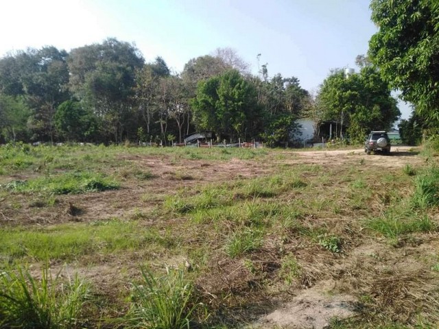 TEL :088-559 5199 คุณเอLine: https://line.me/ti/p/C0eGe0whLXขายที่ดินพร้อมจัดสรร คุ้มสุดในโซน!พิกัด : นาพร้าว ศรีราชา ชลบุรีที่ดินเนื้อที่ 1-2-73 ไร่เสนอราคาขายเหมายกแปลง  8.5 ล้าน (คุ้ม!!) (50/50โอน) (เสนอต่อรองพร้อมจบ )เข้าออกได้หลายทาง อยู่ติดหมู่บ้านจัดสรร แยกเข้าซอยไป 80 เมตรที่ดินถมแล้วระดับถนนรูปสี่เหลี่ยม- ที่ดินสวย ที่เปล่า โปร่งโล่งสบาย เงียบสงบ - ทั้งนี้ยังอยู่ใกล้ ใจกลางเมืองศรีราชา - เหมาะสำ