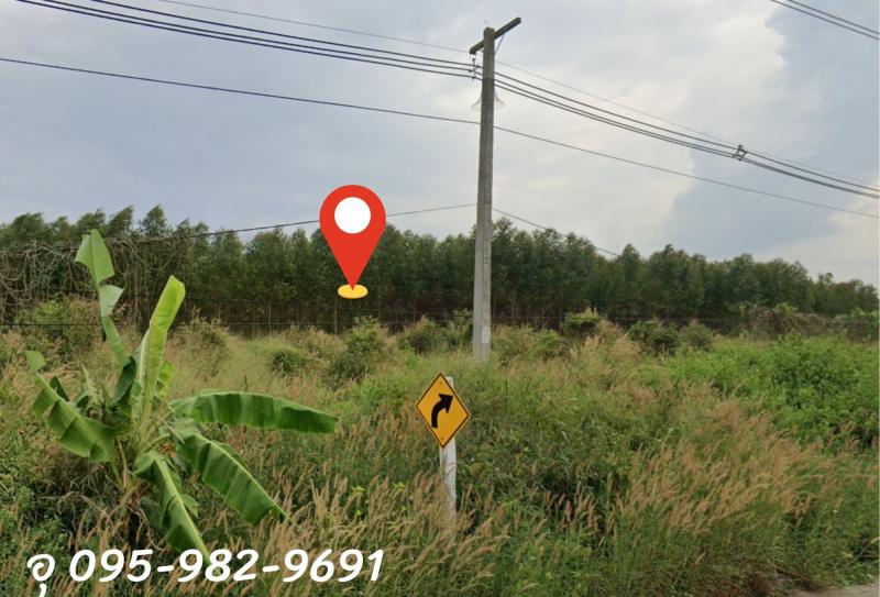 ขายที่ดิน ตำบล จอมบึง อำเภอ จอมบึง ราชบุรี ขนาดที่ดิน 2ไร่ 1งาน 8ตร.ว.