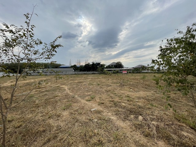 ขายที่ดินถมแล้ว อำเภอปลวกแดง จังหวัดระยอง จำนวน 3 ไร่ 38 ตารางวา